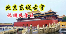 淫穴被插中国北京-东城古宫旅游风景区